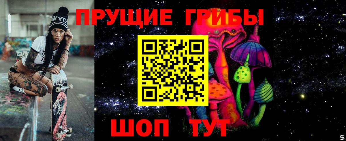 Горно-Алтайск  Галлюциногенные грибы MAGIC MUSHROOMS  Вход с VPN 